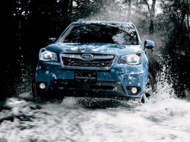 Cпециальная версия subaru forester