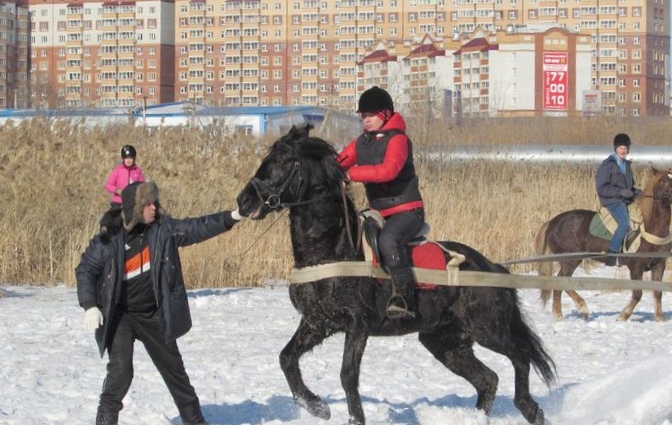 Лошадиный приплод ,авто, ремонт