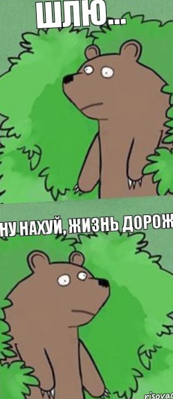 Жизнь куда дороже